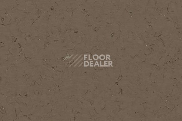 Виниловая плитка ПВХ FORBO Allura Colour/Colour Plus C68018-651018 faded brown фото 1 | FLOORDEALER